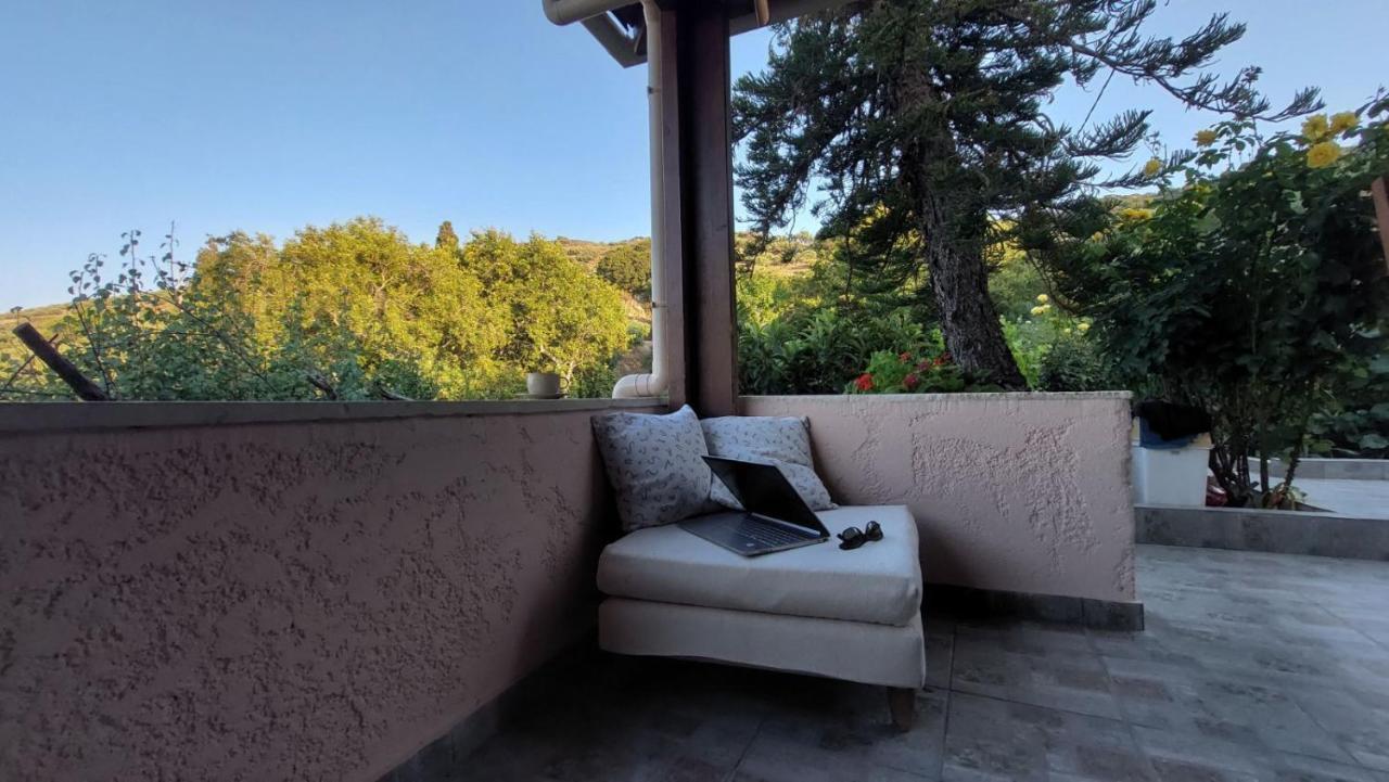 The Garden House, Sitia Apartment Екстериор снимка