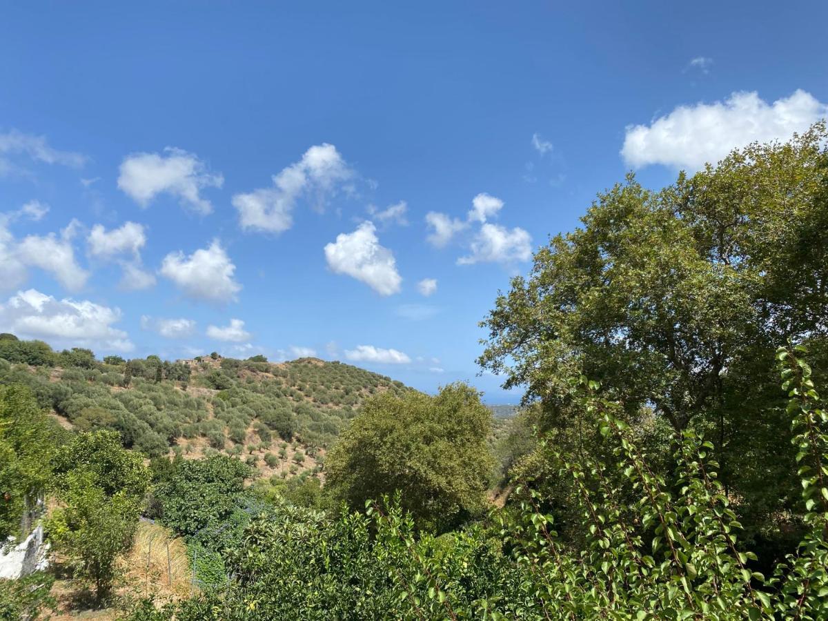 The Garden House, Sitia Apartment Екстериор снимка